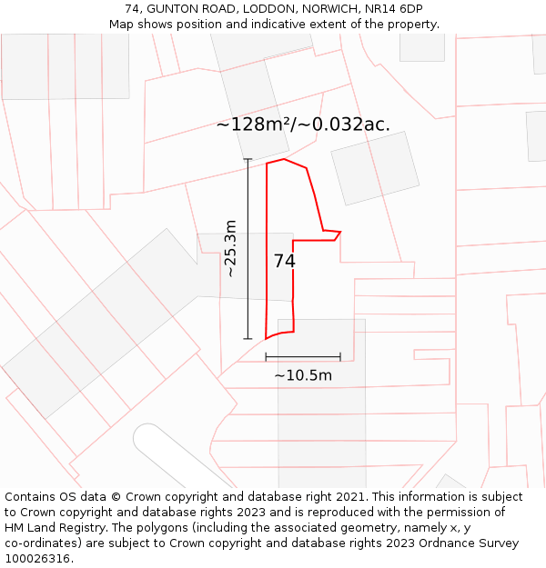 74, GUNTON ROAD, LODDON, NORWICH, NR14 6DP: Plot and title map
