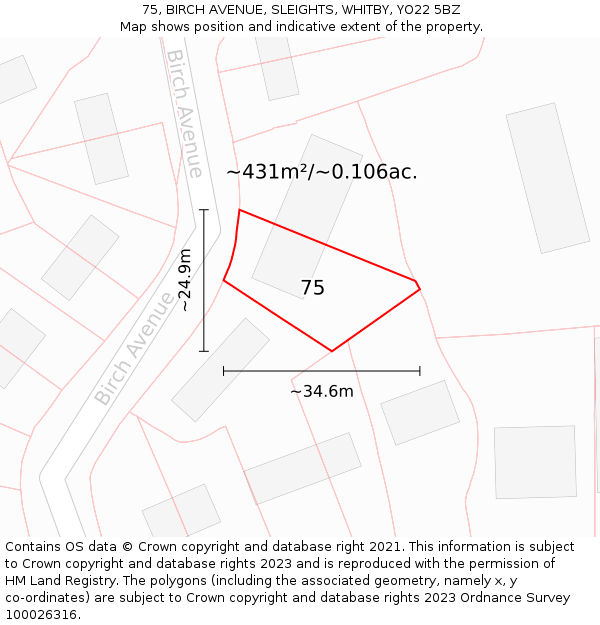 75, BIRCH AVENUE, SLEIGHTS, WHITBY, YO22 5BZ: Plot and title map