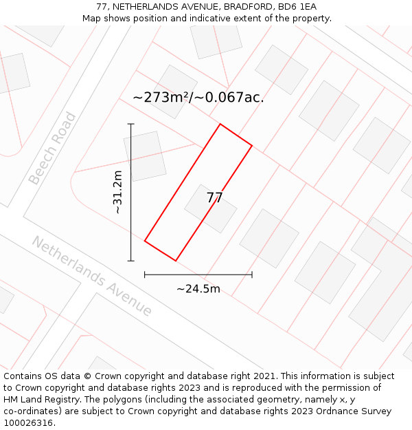 77, NETHERLANDS AVENUE, BRADFORD, BD6 1EA: Plot and title map
