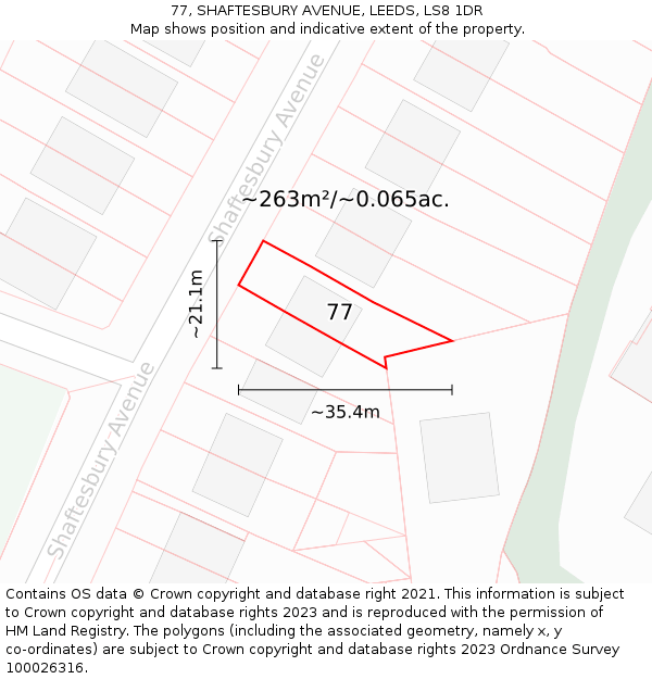 77, SHAFTESBURY AVENUE, LEEDS, LS8 1DR: Plot and title map