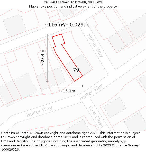 79, HALTER WAY, ANDOVER, SP11 6XL: Plot and title map