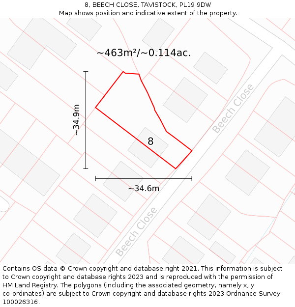 8, BEECH CLOSE, TAVISTOCK, PL19 9DW: Plot and title map