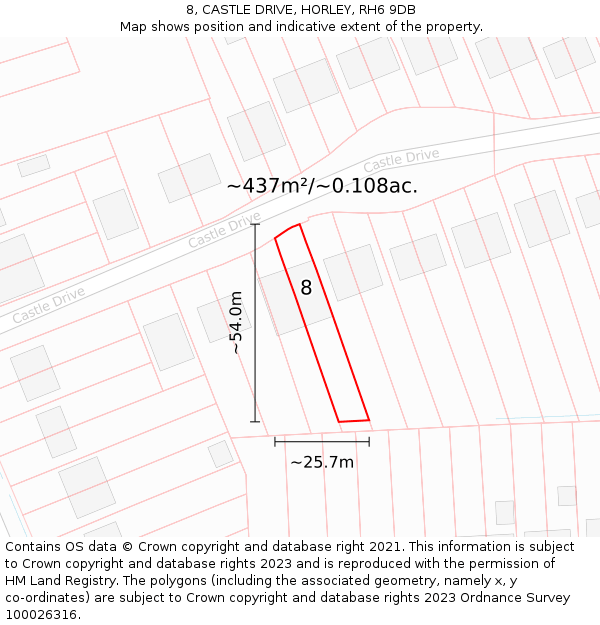8, CASTLE DRIVE, HORLEY, RH6 9DB: Plot and title map