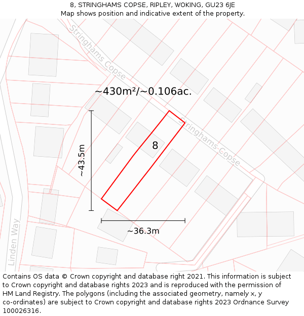 8, STRINGHAMS COPSE, RIPLEY, WOKING, GU23 6JE: Plot and title map