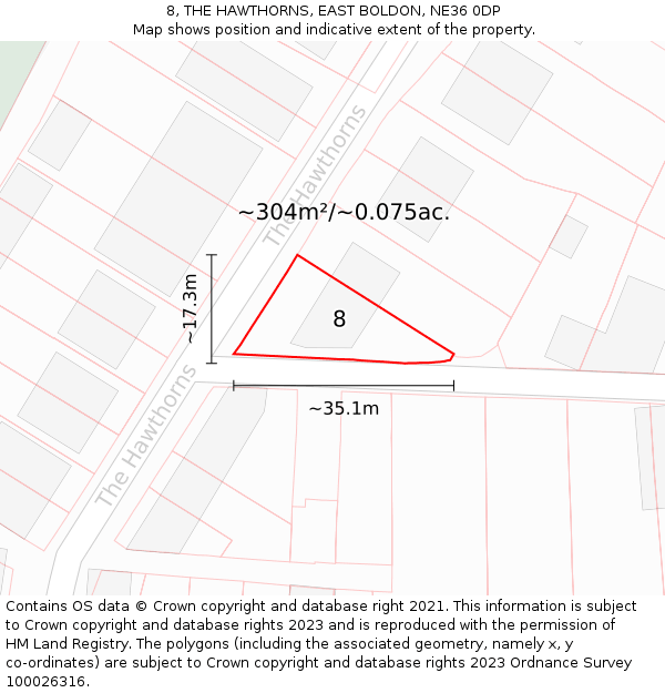 8, THE HAWTHORNS, EAST BOLDON, NE36 0DP: Plot and title map
