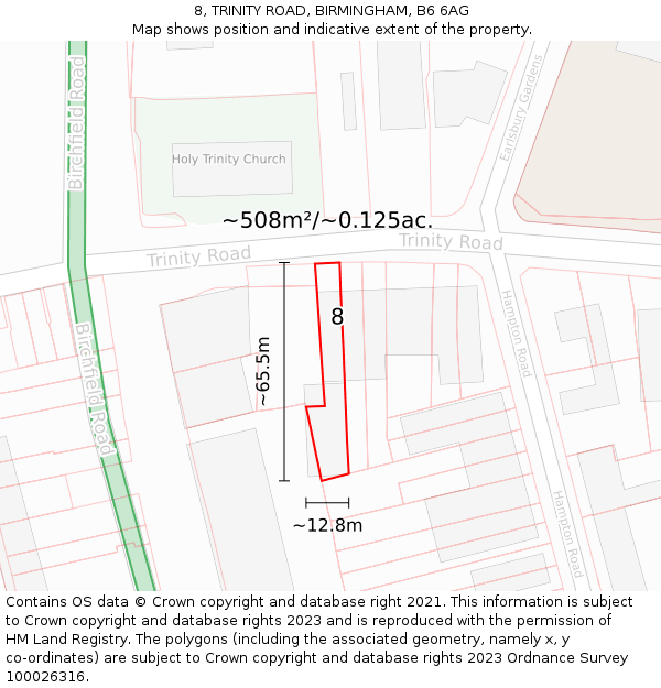 8, TRINITY ROAD, BIRMINGHAM, B6 6AG: Plot and title map