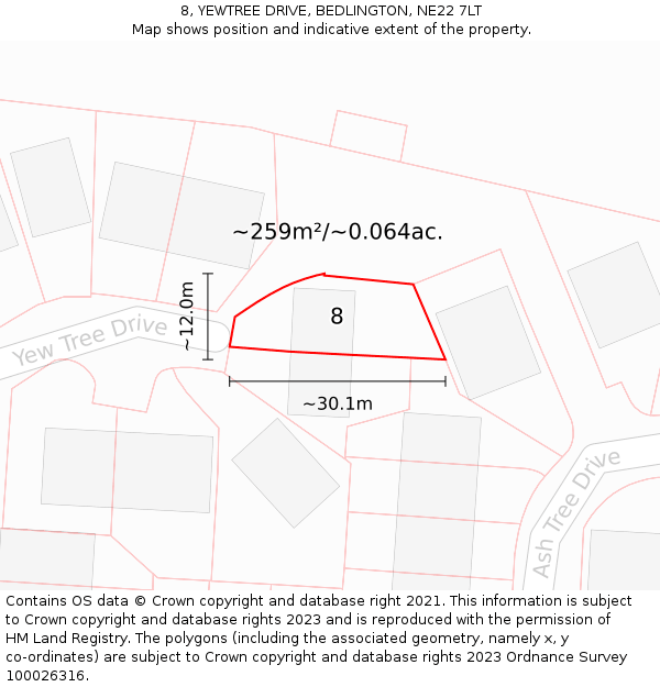 8, YEWTREE DRIVE, BEDLINGTON, NE22 7LT: Plot and title map