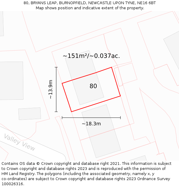 80, BRYANS LEAP, BURNOPFIELD, NEWCASTLE UPON TYNE, NE16 6BT: Plot and title map