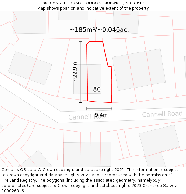 80, CANNELL ROAD, LODDON, NORWICH, NR14 6TP: Plot and title map