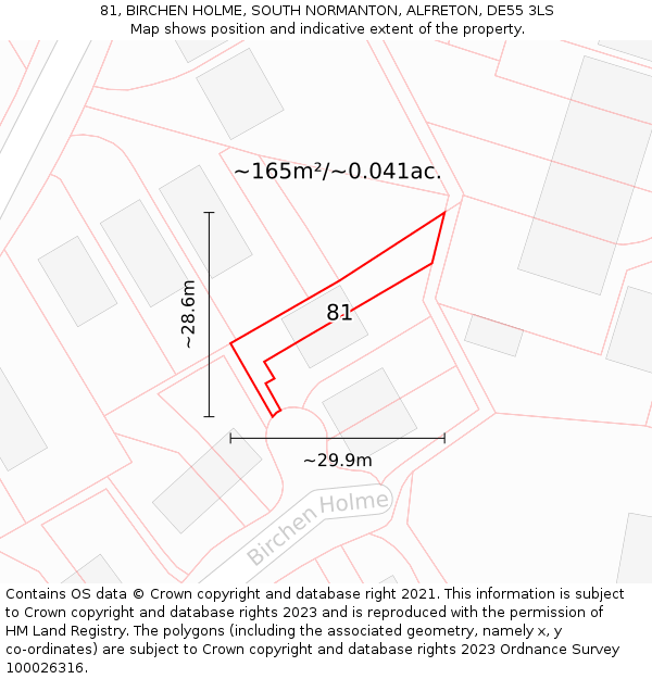 81, BIRCHEN HOLME, SOUTH NORMANTON, ALFRETON, DE55 3LS: Plot and title map
