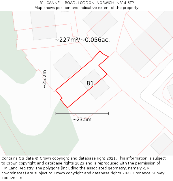 81, CANNELL ROAD, LODDON, NORWICH, NR14 6TP: Plot and title map