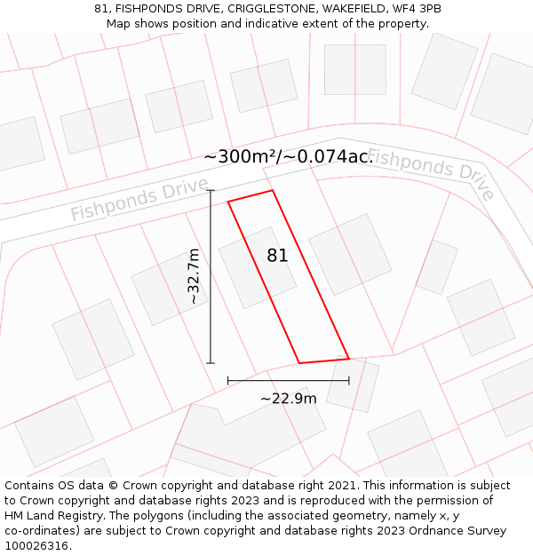 81, FISHPONDS DRIVE, CRIGGLESTONE, WAKEFIELD, WF4 3PB: Plot and title map