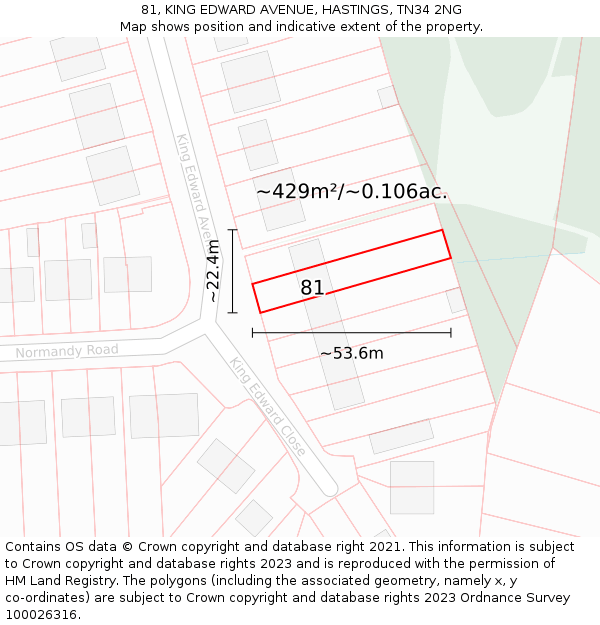 81, KING EDWARD AVENUE, HASTINGS, TN34 2NG: Plot and title map