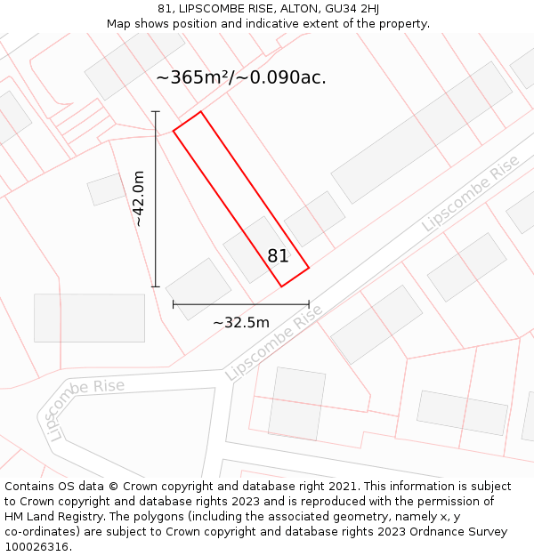81, LIPSCOMBE RISE, ALTON, GU34 2HJ: Plot and title map