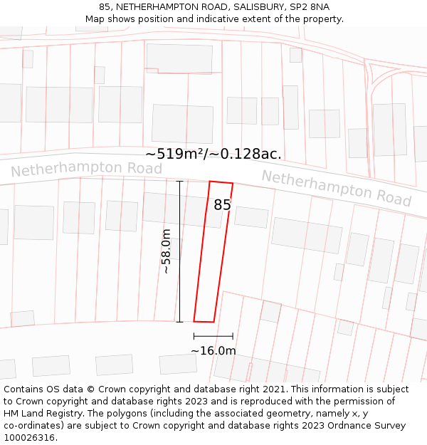 85, NETHERHAMPTON ROAD, SALISBURY, SP2 8NA: Plot and title map
