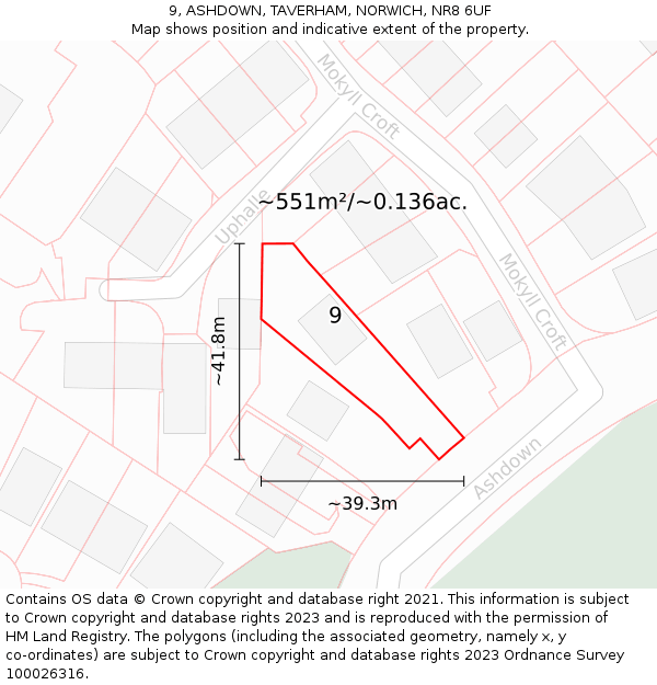 9, ASHDOWN, TAVERHAM, NORWICH, NR8 6UF: Plot and title map