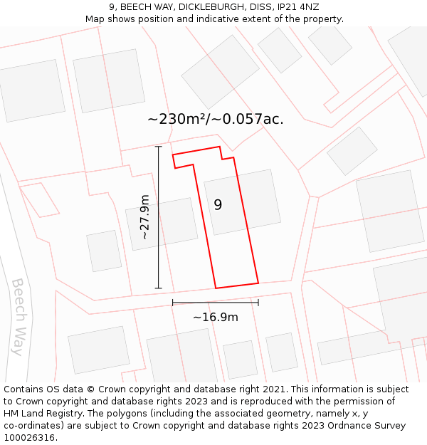 9, BEECH WAY, DICKLEBURGH, DISS, IP21 4NZ: Plot and title map