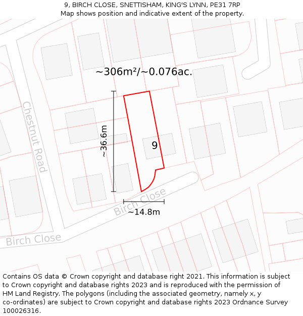 9, BIRCH CLOSE, SNETTISHAM, KING'S LYNN, PE31 7RP: Plot and title map