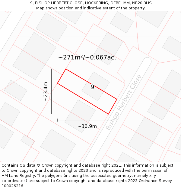 9, BISHOP HERBERT CLOSE, HOCKERING, DEREHAM, NR20 3HS: Plot and title map