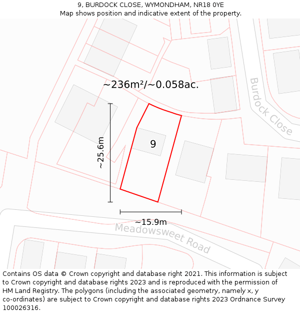 9, BURDOCK CLOSE, WYMONDHAM, NR18 0YE: Plot and title map