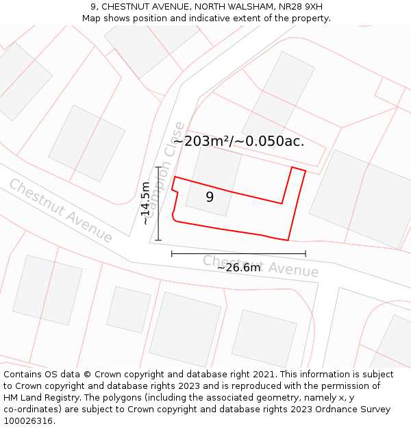 9, CHESTNUT AVENUE, NORTH WALSHAM, NR28 9XH: Plot and title map