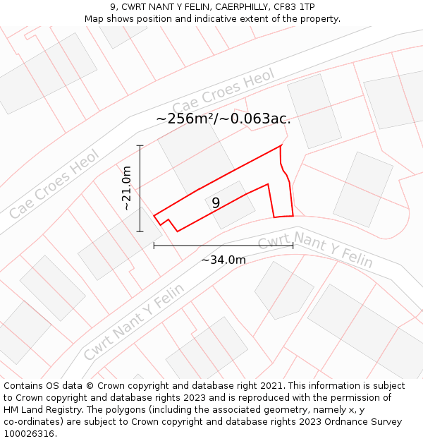 9, CWRT NANT Y FELIN, CAERPHILLY, CF83 1TP: Plot and title map