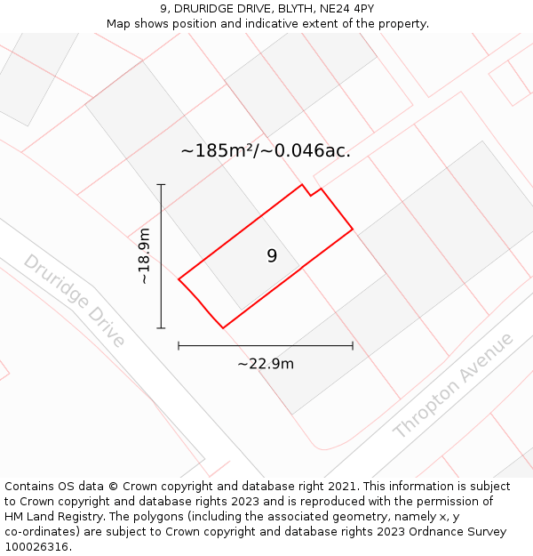 9, DRURIDGE DRIVE, BLYTH, NE24 4PY: Plot and title map