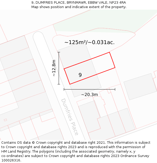 9, DUMFRIES PLACE, BRYNMAWR, EBBW VALE, NP23 4RA: Plot and title map