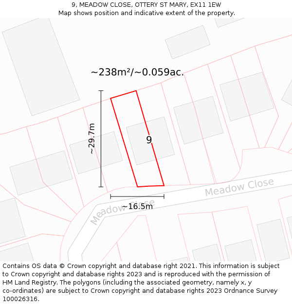 9, MEADOW CLOSE, OTTERY ST MARY, EX11 1EW: Plot and title map