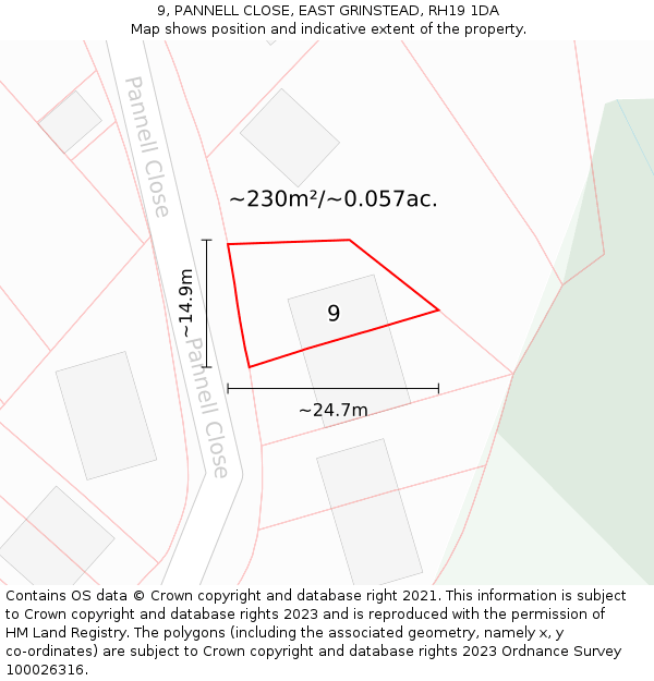 9, PANNELL CLOSE, EAST GRINSTEAD, RH19 1DA: Plot and title map