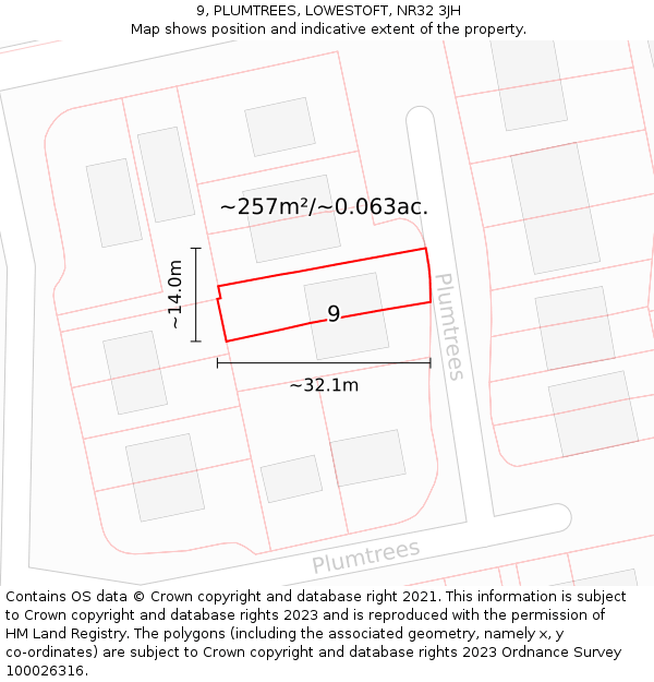 9, PLUMTREES, LOWESTOFT, NR32 3JH: Plot and title map