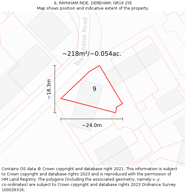 9, RAYNHAM RIDE, DEREHAM, NR19 2YE: Plot and title map