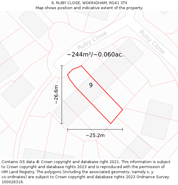 9, RUBY CLOSE, WOKINGHAM, RG41 3TX: Plot and title map