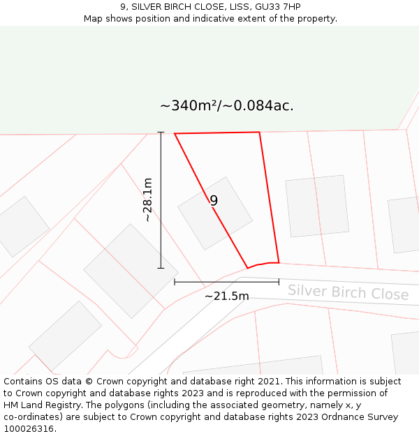 9, SILVER BIRCH CLOSE, LISS, GU33 7HP: Plot and title map