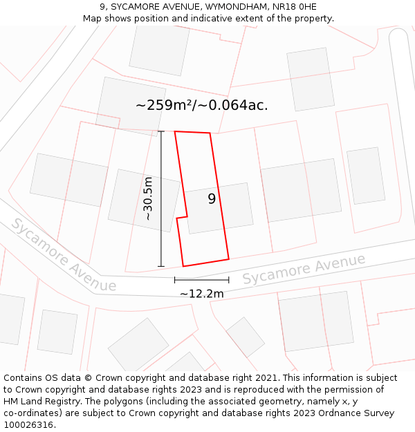 9, SYCAMORE AVENUE, WYMONDHAM, NR18 0HE: Plot and title map