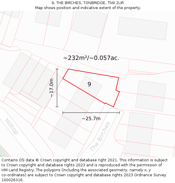 9, THE BIRCHES, TONBRIDGE, TN9 2UR: Plot and title map