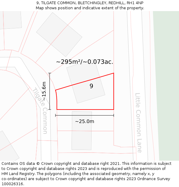 9, TILGATE COMMON, BLETCHINGLEY, REDHILL, RH1 4NP: Plot and title map