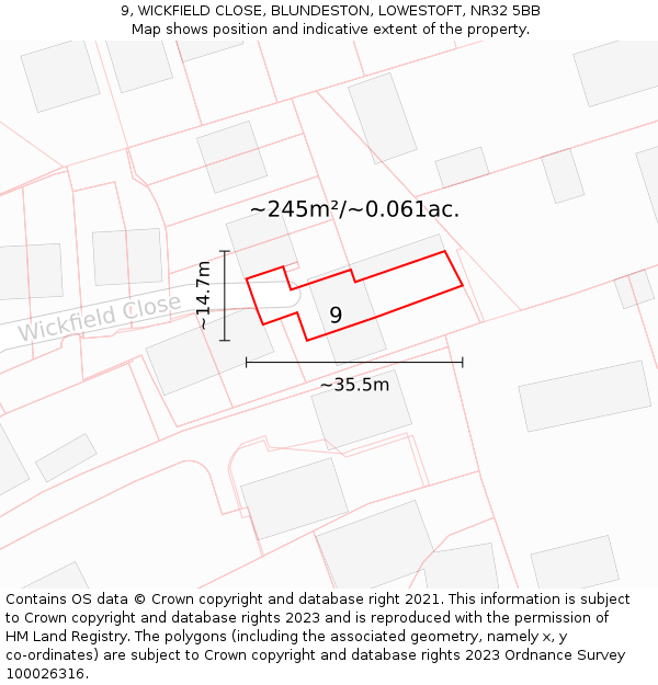 9, WICKFIELD CLOSE, BLUNDESTON, LOWESTOFT, NR32 5BB: Plot and title map