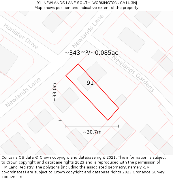 91, NEWLANDS LANE SOUTH, WORKINGTON, CA14 3NJ: Plot and title map