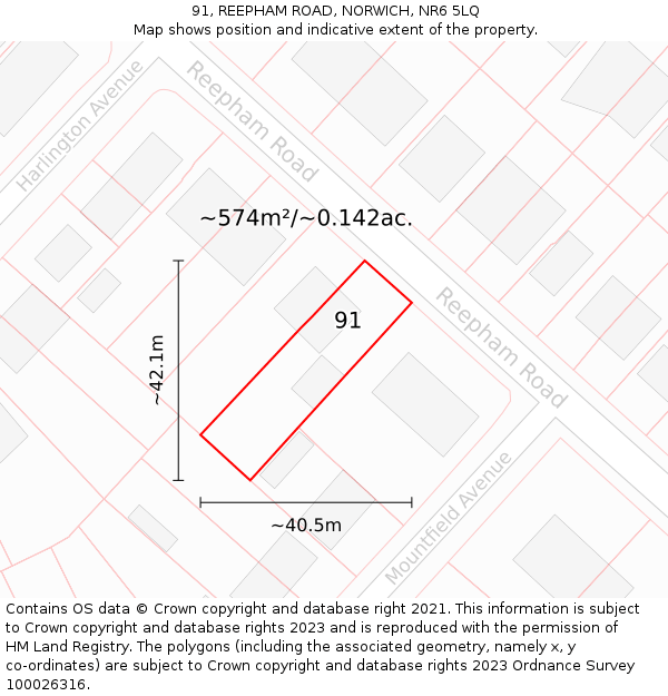 91, REEPHAM ROAD, NORWICH, NR6 5LQ: Plot and title map