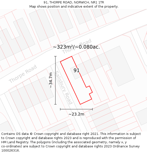 91, THORPE ROAD, NORWICH, NR1 1TR: Plot and title map