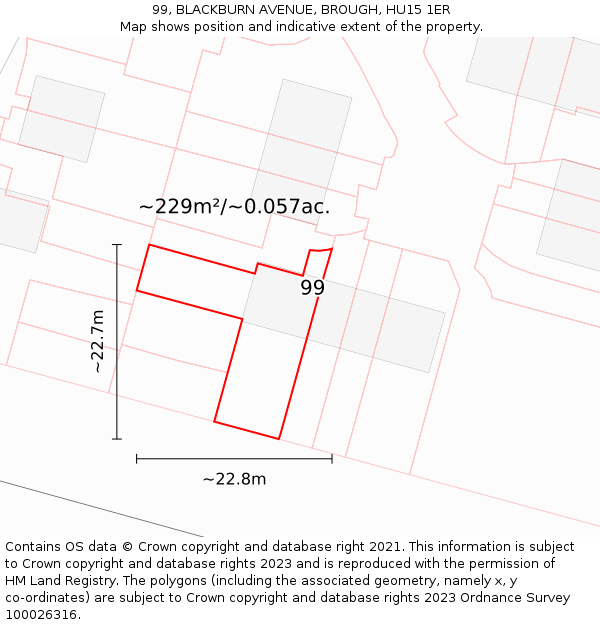 99, BLACKBURN AVENUE, BROUGH, HU15 1ER: Plot and title map