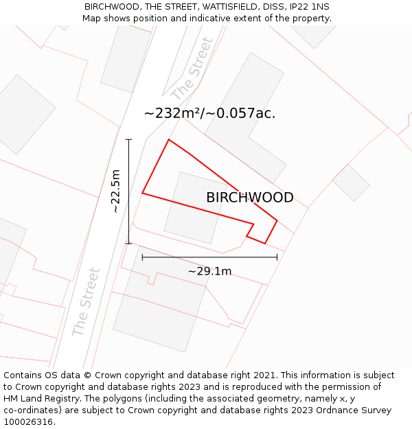 BIRCHWOOD, THE STREET, WATTISFIELD, DISS, IP22 1NS: Plot and title map