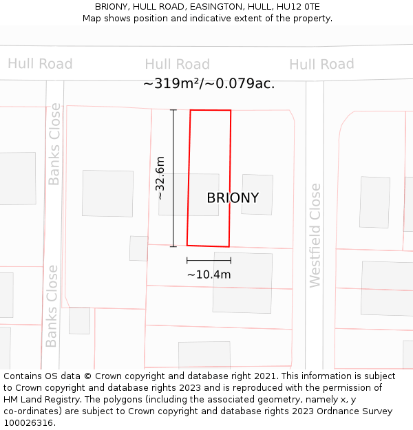 BRIONY, HULL ROAD, EASINGTON, HULL, HU12 0TE: Plot and title map