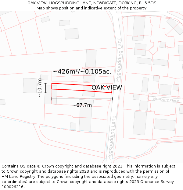 OAK VIEW, HOGSPUDDING LANE, NEWDIGATE, DORKING, RH5 5DS: Plot and title map