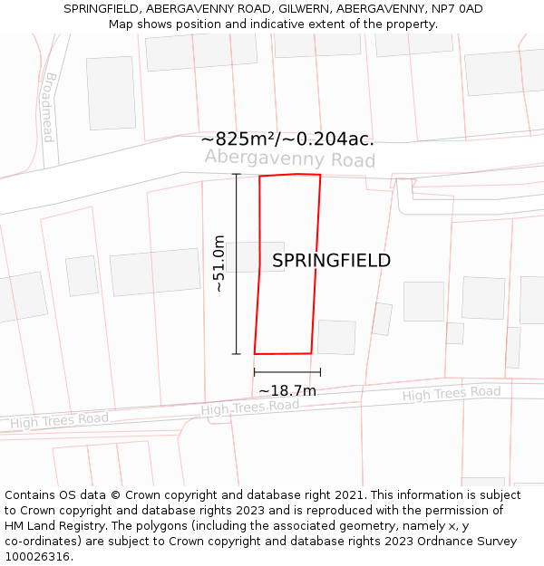 SPRINGFIELD, ABERGAVENNY ROAD, GILWERN, ABERGAVENNY, NP7 0AD: Plot and title map