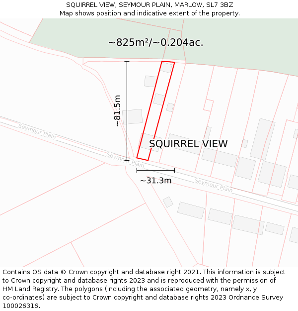 SQUIRREL VIEW, SEYMOUR PLAIN, MARLOW, SL7 3BZ: Plot and title map