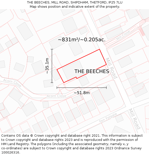 THE BEECHES, MILL ROAD, SHIPDHAM, THETFORD, IP25 7LU: Plot and title map