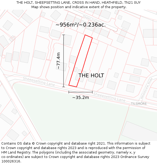 THE HOLT, SHEEPSETTING LANE, CROSS IN HAND, HEATHFIELD, TN21 0UY: Plot and title map