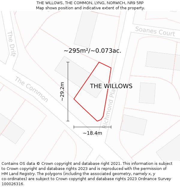 THE WILLOWS, THE COMMON, LYNG, NORWICH, NR9 5RP: Plot and title map